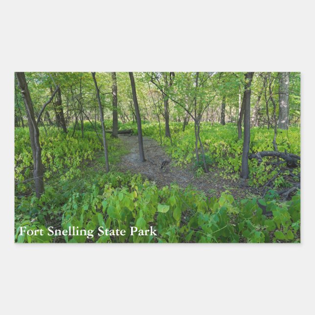 trail through fort snelling state park forest sticker (Front)