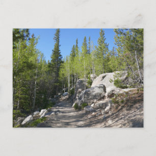 Trail to Alberta Falls Postcard