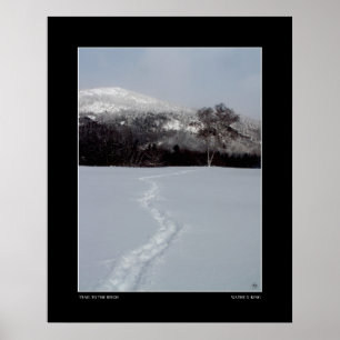 Trail to Birch in Winter Colour Poster