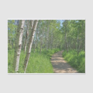 Trail Trough Aspens Tissue Paper