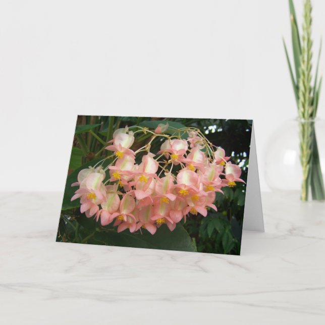 Trailing Begonia Card (Front)