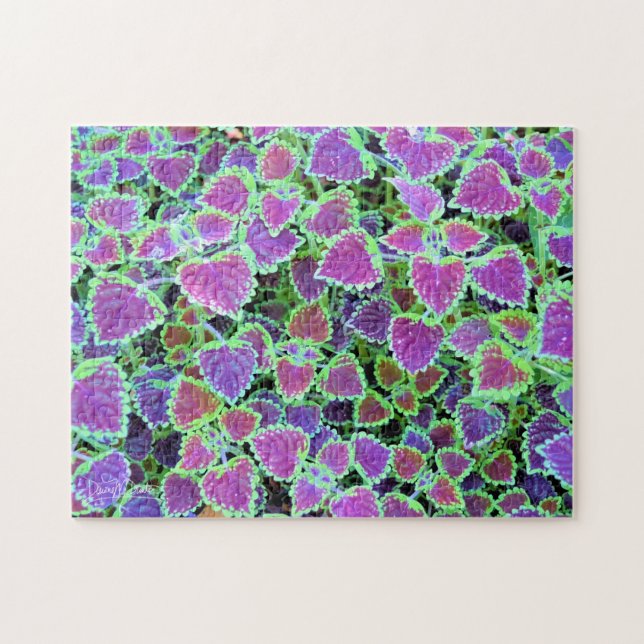 Trailing Burgundy Coleus Jigsaw Puzzle (Horizontal)