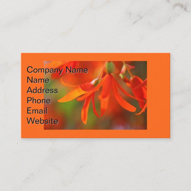 Trailing Orange Begonia Business Card (Front)