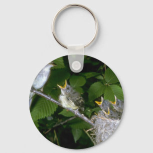 Traill's Flycatcher with young Keychain
