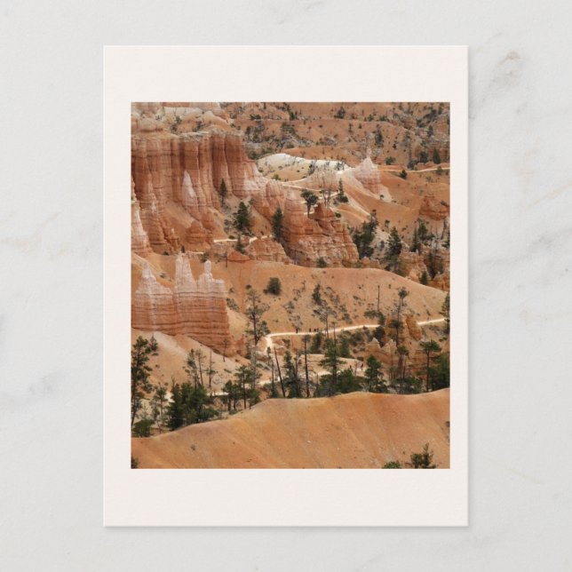 Trails of Bryce Canyon Postcard (Front)