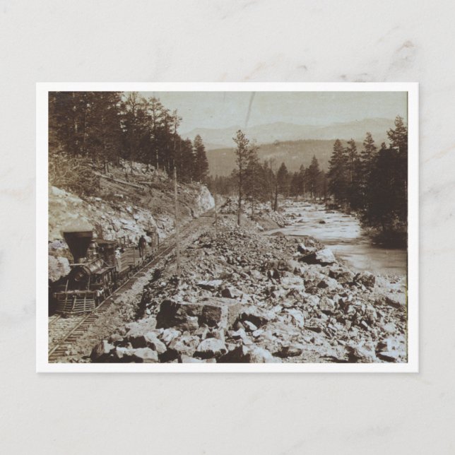 Train Along The Truckee River Postcard (Front)