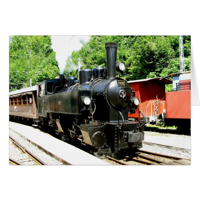 Train au musée ferroviaire Chamby (Devant horizontal)