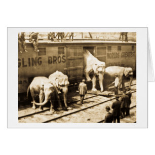 Train d'éléphant de Ringling Bros de glissière de