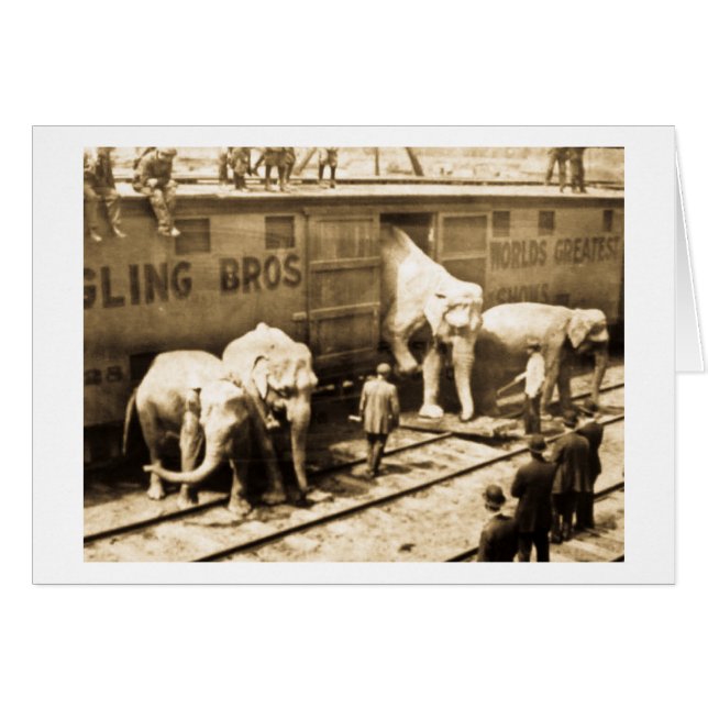 Train d'éléphant de Ringling Bros de glissière de (Devant horizontal)