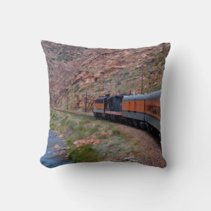 Train in a Canyon Beside a River Pillow