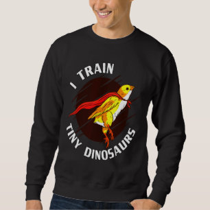 Train Tiny Dinosaurs Chicken Sweatshirt
