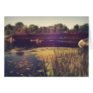 Train Tracks Across River