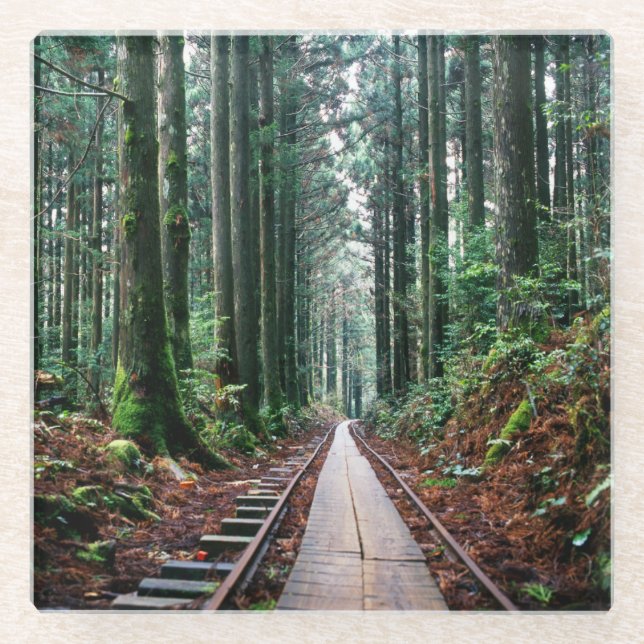 Train Tracks in the Forest Glass Coaster (Front)