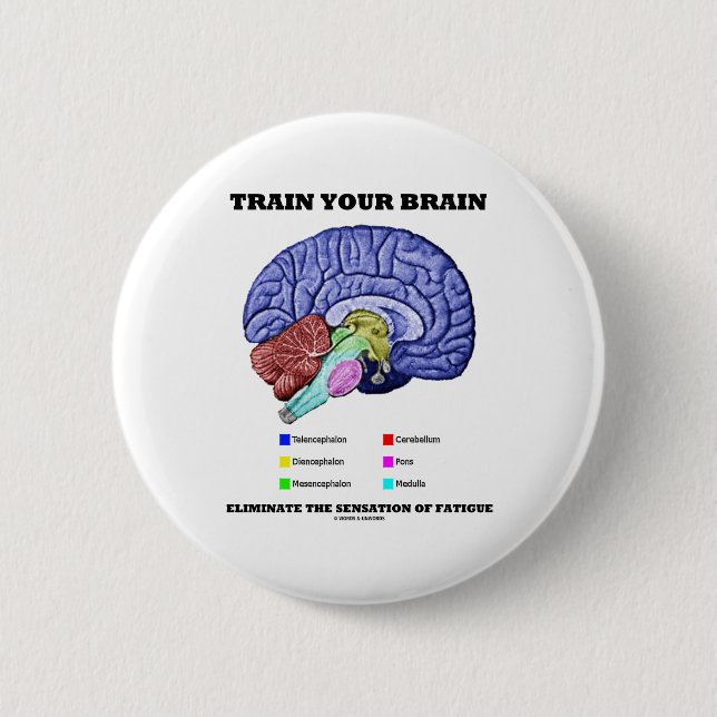 Train Your Brain Eliminate Sensation Of Fatigue 2 Inch Round Button (Front)