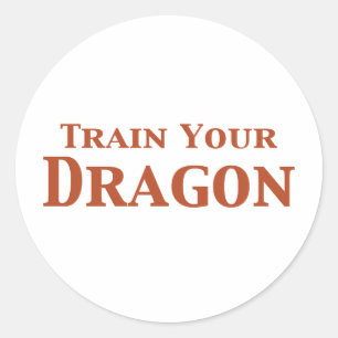 Train Your Dragon Gifts Classic Round Sticker