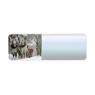 traîneau+randonnée,neige,forêt,cheval,hiver,blanc,