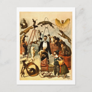 Trained Dog Act 1899 Vintage Circus Act Poster Postcard