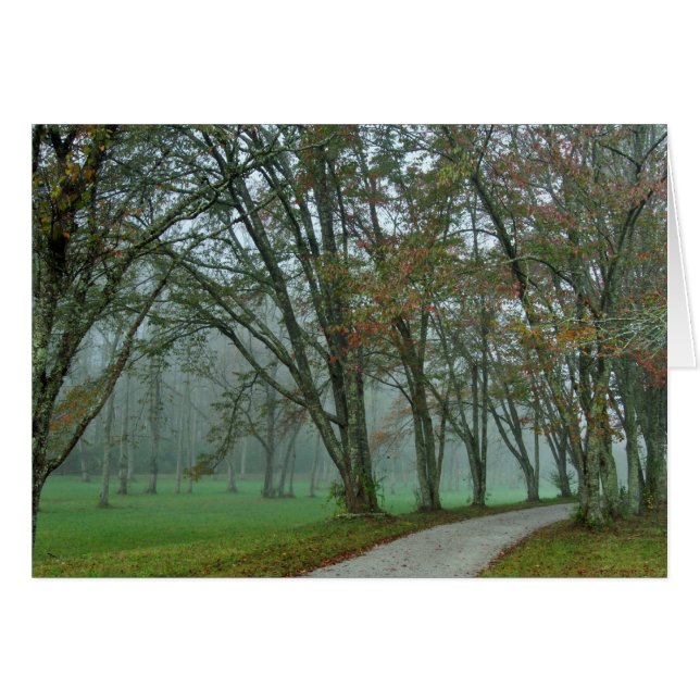 Traînée II d'oiseau chanteur (Devant horizontal)