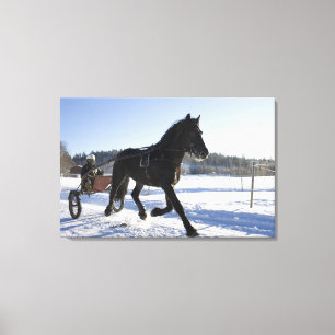 Training of horses in a wintry landscape, canvas print