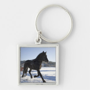 Training of horses in a wintry landscape, keychain