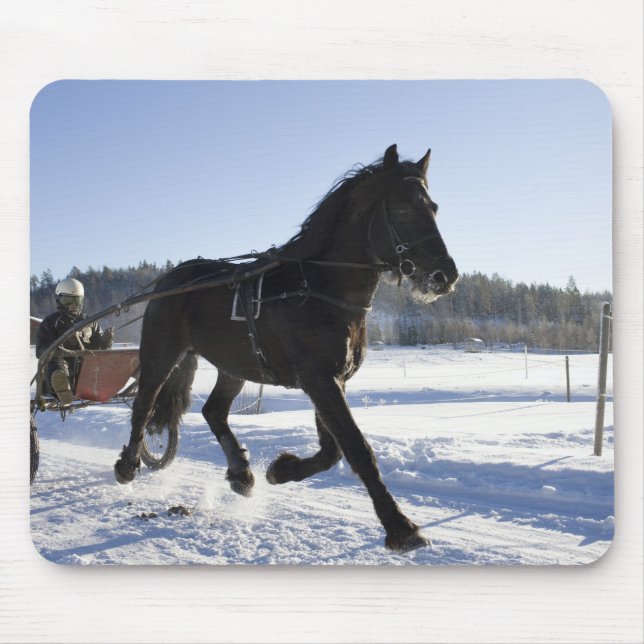 Training of horses in a wintry landscape, mouse pad (Front)