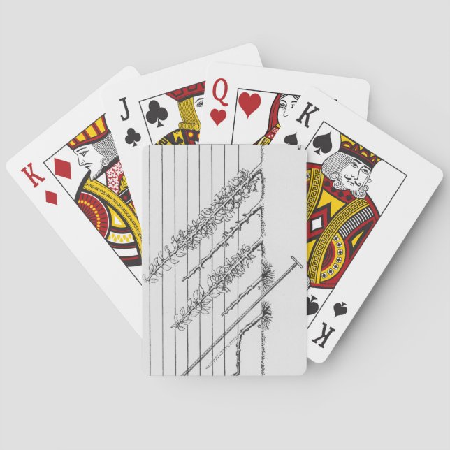 Training young trees, from 'The Fruit Grower's Gui Playing Cards (Back)