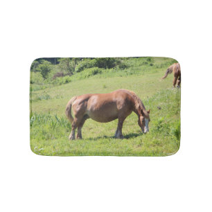 Trait Breton horse Bath Mat