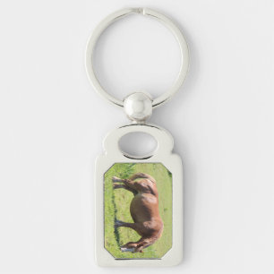 Trait Breton horse Keychain