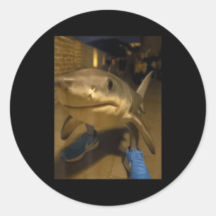 Tralalero tralala shark meme  classic round sticker