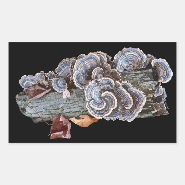 Trametes versicolor Turc Sticker (Devant)