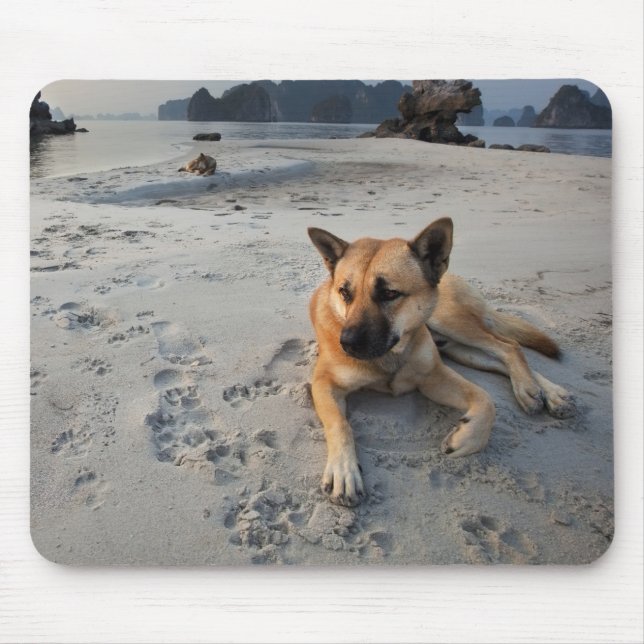 Tranquil Dog on the Beach Mouse Pad (Front)
