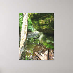 Tranquil Forest Canvas Print Real Landscape
