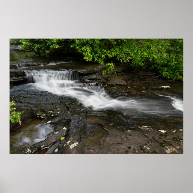 Tranquil Forest Waterfall Poster (Front)