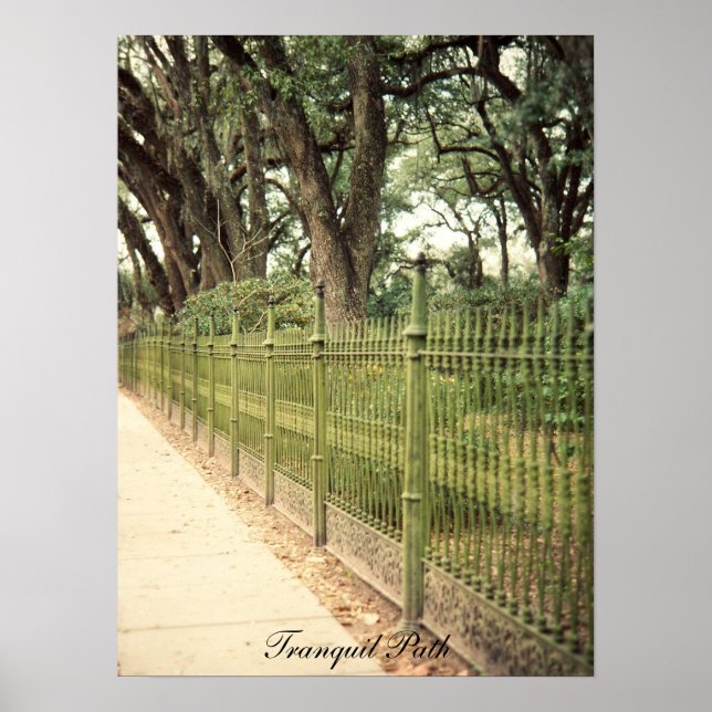 Tranquil Path print (Front)