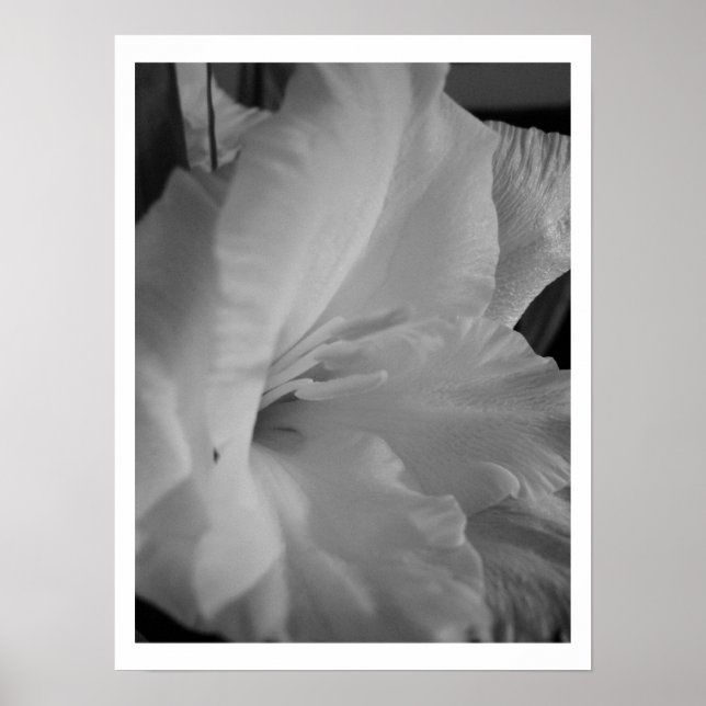 Tranquil Poster (Front)