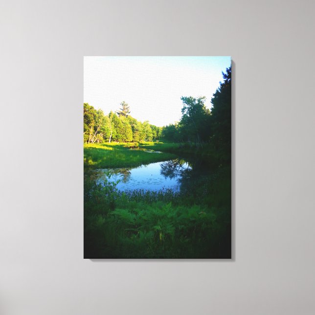 Tranquil River Reflection Canvas Print (Front)