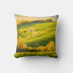 Tranquil rural landscape in sunbeams. Beautiful su Throw Pillow