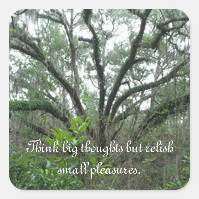 Tranquil Tree Stickers (Front)