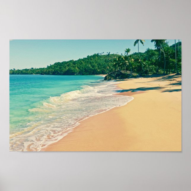 Tranquil Tropical Island Beach Poster (Front)