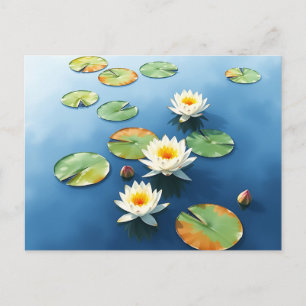 Tranquil Water Lilies Floating on Calm Pond  Postcard