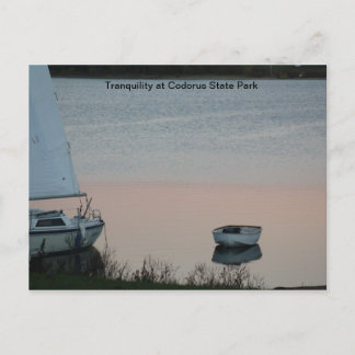 Tranquility at Codorus State Park Postcard