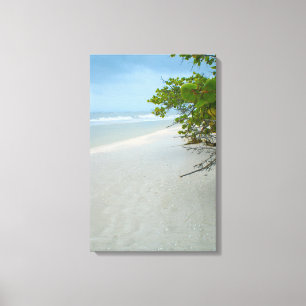 Tranquillité sur la toile de l'île de Sanibel