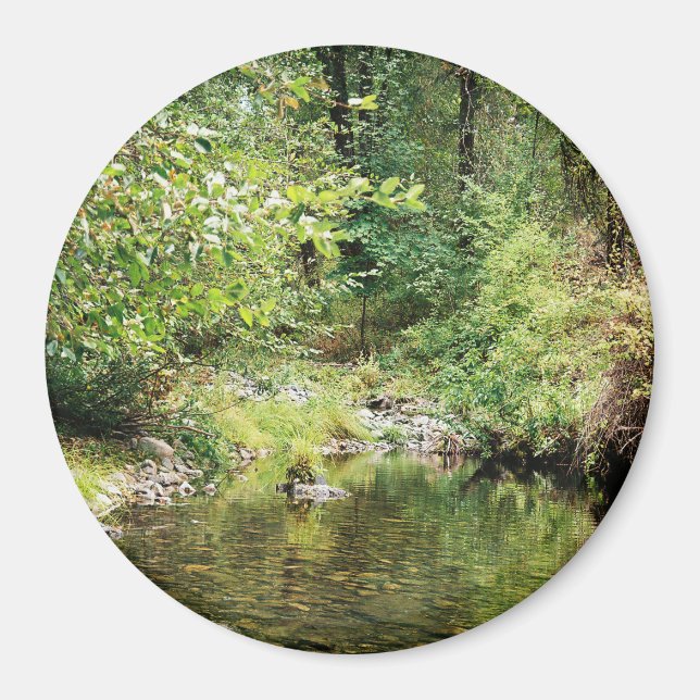 Tranquillity in the woods...... magnet (Front)