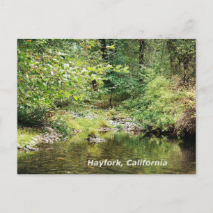 Tranquillity in the woods....... postcard