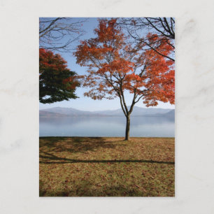 Tranquillity Postcard