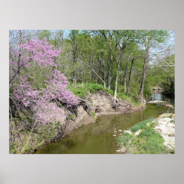 Tranquillity Poster (Front)