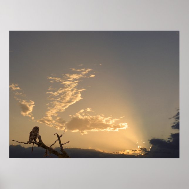 Tranquillity Poster (Front)