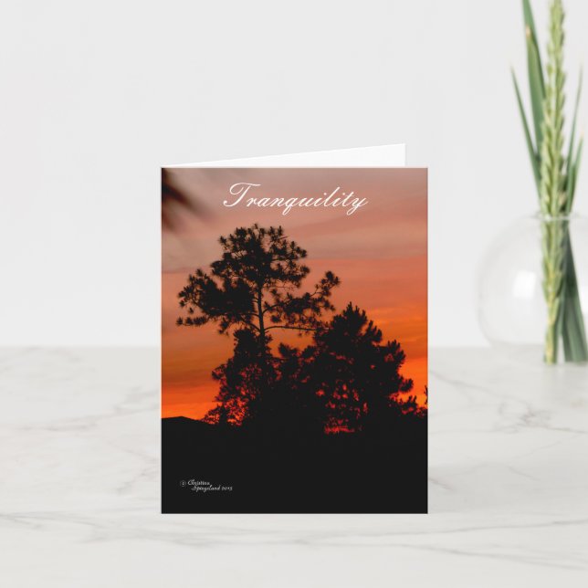 Tranquillity sunset Pine trees Note Card (Front)