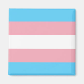 Trans Flag Magnet