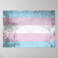TRANS FLAG ORIGINAL -.png